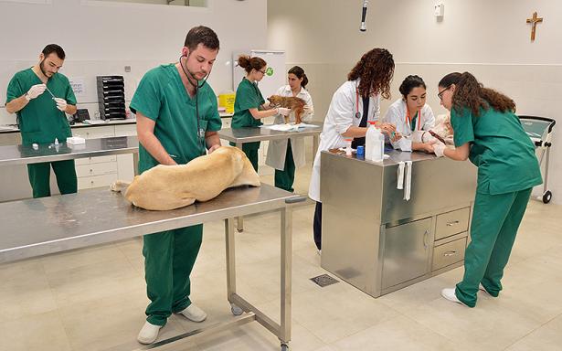 UCV nuevo facultad de veterinaria 